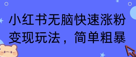 小红书无脑快速涨粉变现玩法，简单粗暴-51云资源