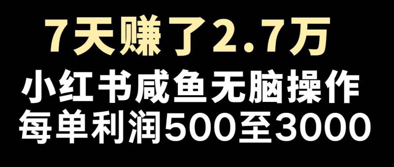 (14183期)最赚钱项目之一,2025爆火,逆风翻盘!-51云资源
