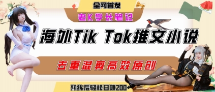 海外tiktok小说推文暴力项目，高停留率，高转化率，上手后一天搞顿饭钱不是问题-51云资源
