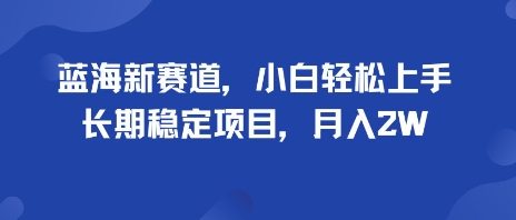 蓝海新赛道,小白轻松上手,长期稳定项目,月入2W-51云资源