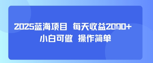 2025蓝海项目 每天收益多张 小白可做 操作简单-51云资源