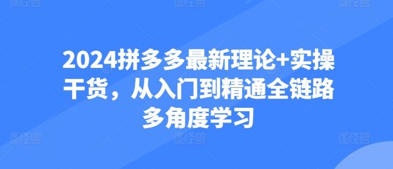 2024拼多多最新理论 实操干货，从入门到精通全链路多角度学习-51云资源