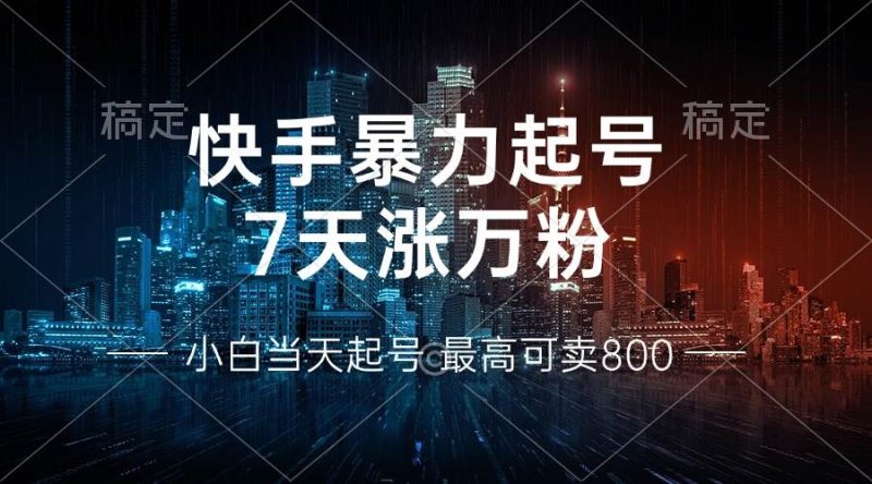 (13142期)快手暴力起号,7天涨万粉,小白当天起号 多种变现方式,账号回收,单月…-51云资源