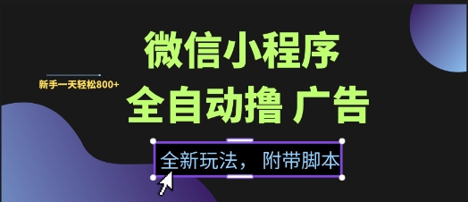 微信小程序全自动撸广告项目,彻底解决没流量的问题,新手一天8张 【揭秘】-51云资源
