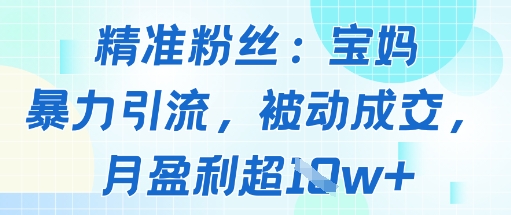 精准粉丝：宝妈暴力引流方法，被动成交，月盈利超1w-51云资源