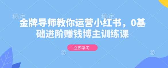 金牌导师教你运营小红书，0基础进阶赚钱博主训练课-51云资源