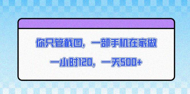 （13785期）你只管截图，一部手机在家做，一小时120，一天500-51云资源