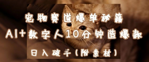 宠物赛道爆单秘籍：AI 数字人10分钟造爆款，日入1k-51云资源