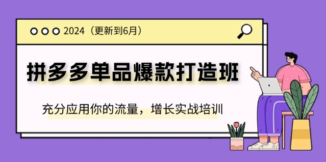 (11556期)2024拼多多-单品爆款打造班(更新6月),充分应用你的流量,增长实战培训