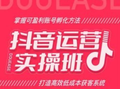 抖音运营实操班，掌握可盈利账号孵化方法，打造高效低成本获客系统-51云资源