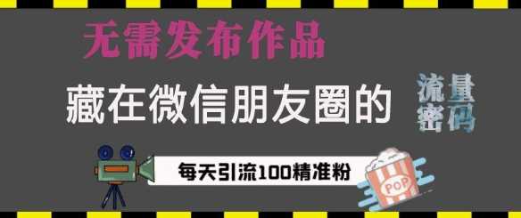 藏在微信朋友圈的流量密码,无需发布作品,单日引流100 精准创业粉【揭秘】
