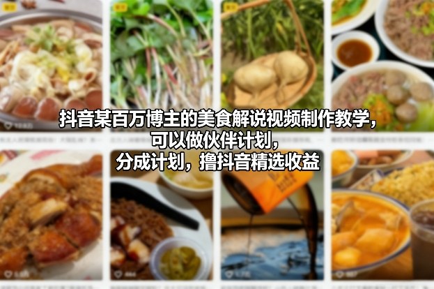 抖音某百万博主的美食解说视频制作教学，可以做伙伴计划，分成计划，撸抖音精选收益(更新)-51云资源