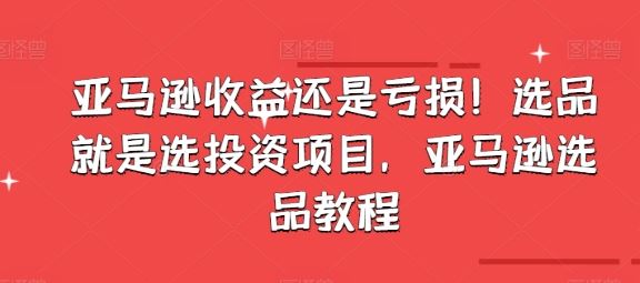 亚马逊收益还是亏损！选品就是选投资项目，亚马逊选品教程-51云资源