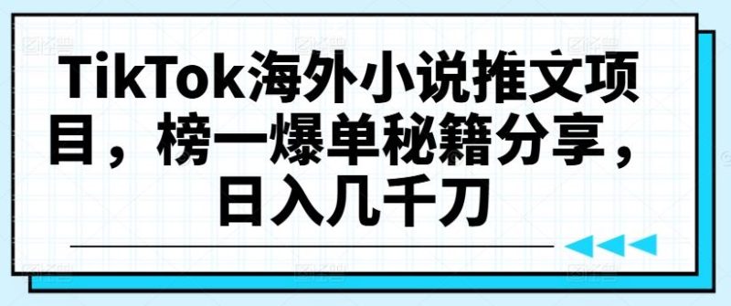 TikTok海外小说推文项目，榜一爆单秘籍分享，日入几千刀-51云资源