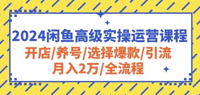 2024闲鱼高级实操运营课程：开店/养号/选择爆款/引流/月入2万/全流程-51云资源