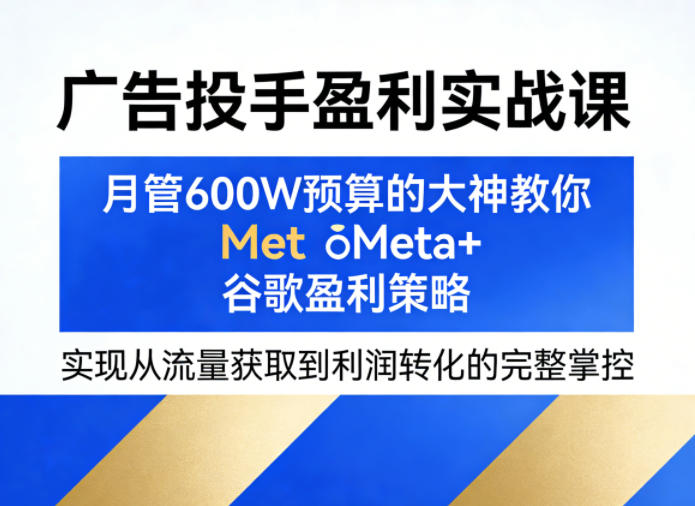 广告投手盈利实战课，月管600W预算的大神教你Meta 谷歌盈利策略，实现从流量获取到利润转化的完整掌控-51云资源