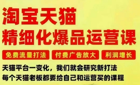 淘宝天猫精细化爆品运营课,免费流量打法-付费广告放大-利润增长-三大核心痛点,一次全部解决-51云资源