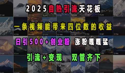2025自热引流天花板，一条视频能带来四位数的收益，引流 变现双管齐下，日引500 创业粉，涨粉嘎嘎猛-51云资源