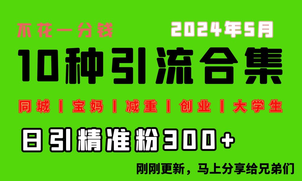 （10545期）0投入，每天搞300 “同城、宝妈、减重、创业、大学生”等10大流量！-51云资源