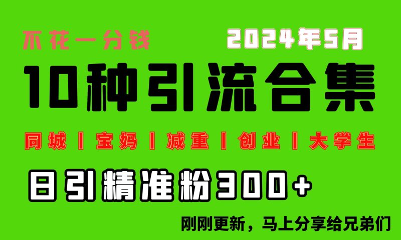 （10545期）0投入，每天搞300 “同城、宝妈、减重、创业、大学生”等10大流量！-51云资源