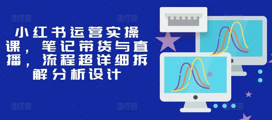 小红书运营实操课，笔记带货与直播，流程超详细拆解分析设计-51云资源