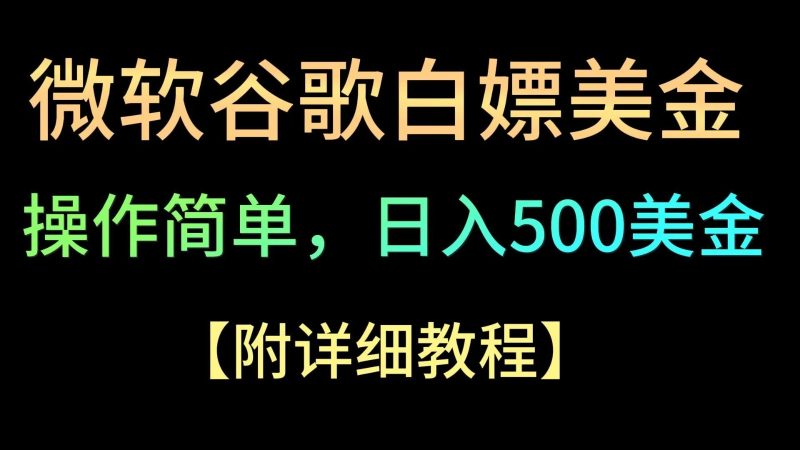 微软谷歌项目3.0，轻松日赚500 美金，操作简单，小白也可轻松入手！-51云资源