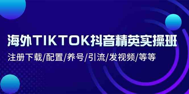 海外TIKTOK抖音精英实操班：注册下载/配置/养号/引流/发视频/等等-51云资源