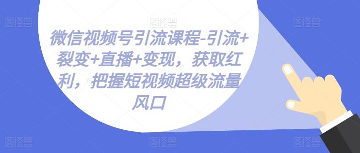 微信视频号引流课程-引流 裂变 直播 变现,获取红利,把握短视频超级流量风口