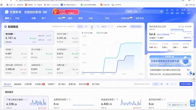 淘宝VIP特训课-更新1016:蓝海选品 付费投放|短视频AI运营|大促起爆全流程,破解店铺无流量无利润难题