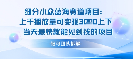小众蓝海赛道项目：当天变现1k 适合新手操作  适合长期玩-51云资源