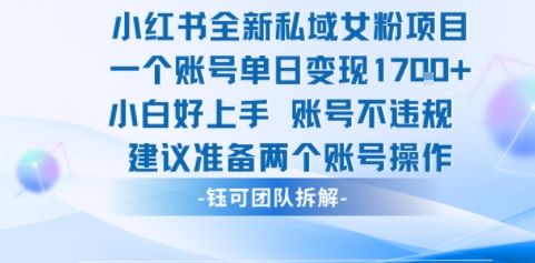 小红书全新私域女粉项目 单日变现1k  小白好上手账号不违规-51云资源