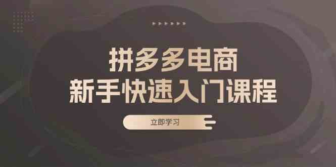 拼多多电商新手快速入门课程：涵盖基础、实战与选款，助力小白轻松上手-51云资源