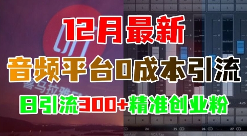 12月最新：音频平台0成本引流，日引流300 精准创业粉-51云资源