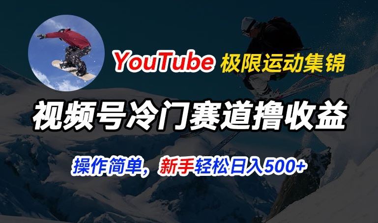 视频号冷门赛道撸收益,YouTube搬运极限运动集锦,暴力起号,操作简单流量高,轻松日入5张【揭秘】-51云资源