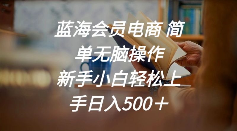 (11068期)蓝海会员电商 简单无脑操作 新手小白轻松上手日入500+-51云资源