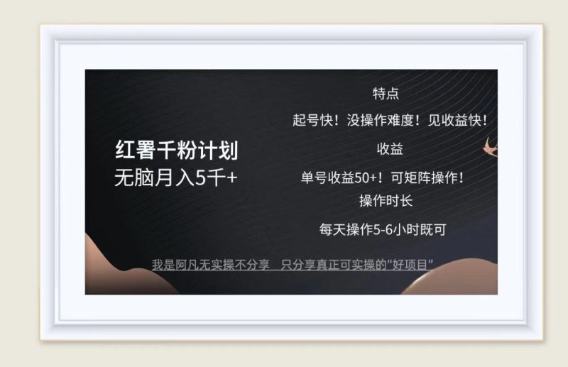 (12560期)红薯千粉计划无脑月入5千 !既做既赚!-51云资源