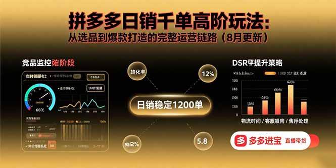 （15850期）拼多多日销千单高阶玩法：从选品到爆款打造的完整运营链路（8月更新）-51云资源