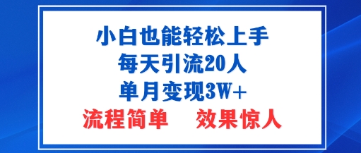 小白也能轻松上手的宝妈项目，每天引流20人，单月变现3W ，流程简单，效果惊人-51云资源