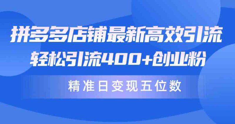 （10041期）拼多多店铺最新高效引流术，轻松引流400 创业粉，精准日变现五位数！-51云资源