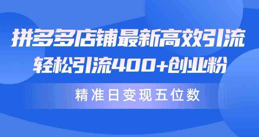 （10041期）拼多多店铺最新高效引流术，轻松引流400 创业粉，精准日变现五位数！-51云资源