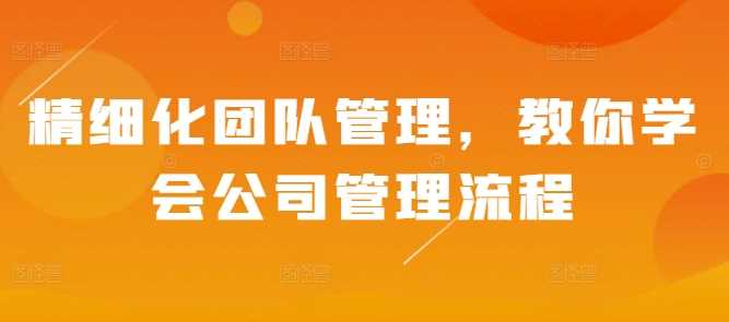 精细化团队管理，教你学会公司管理流程-51云资源