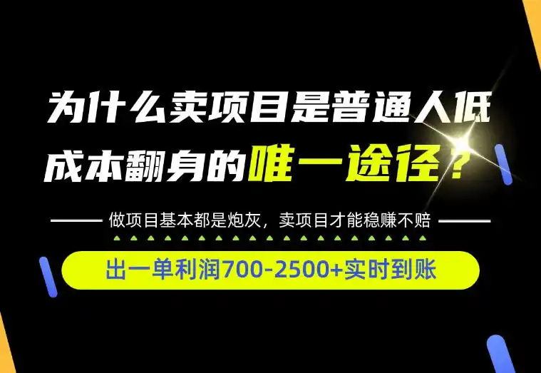 普通人如何靠互联网賺取自己的第一桶金!全类目实操型教学,看完你全都懂了!【揭秘】-51云资源