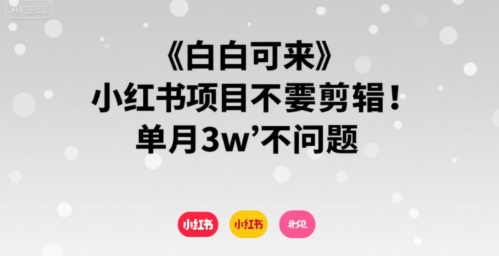 小白可来 小红书项目不需要剪辑 单月3w不是问题-51云资源