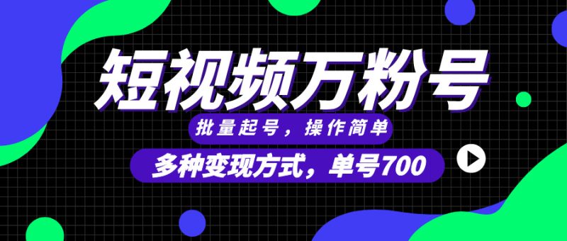 （13497期）短视频快速涨粉，批量起号，单号700，多种变现途径，可无限扩大来做。-51云资源