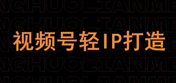 视频号线上课程，视频号轻IP打造-51云资源
