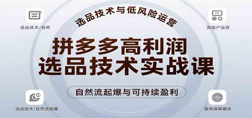 拼多多高利润选品技术实战课,手把手教学自然流高投产起爆,实现低风险可持续盈利