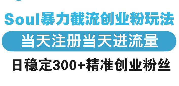 (13935期)Soul暴力截流创业粉玩法,当天注册当天进流量,日稳定300 精准创业粉丝-51云资源