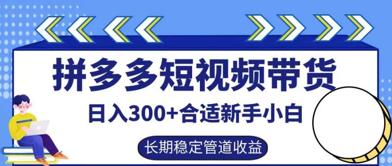 拼多多短视频带货日入300 ，实操账户展示看就能学会-51云资源