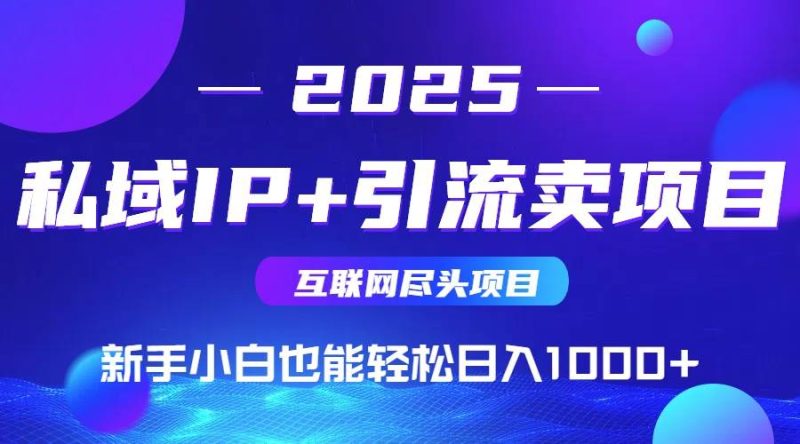 (15531期)2025网创尽头项目,私域IP 引流,新手小白也能在家日入1000-51云资源
