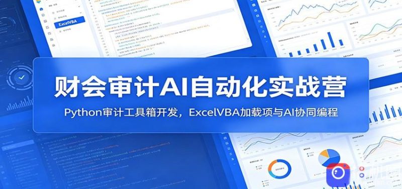 财会审计AI自动化实战营：Python审计工具箱开发，ExcelVBA加载项与AI协同编程-51云资源